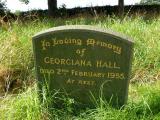 image of grave number 30015